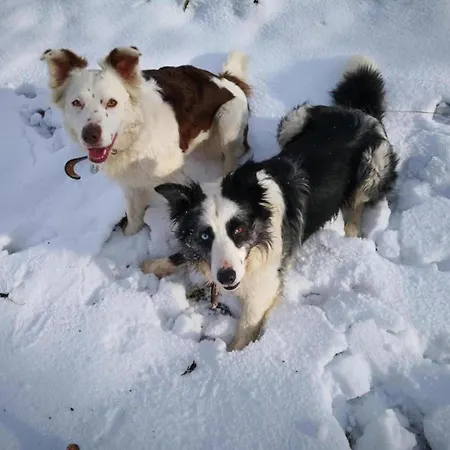 Stilvolle In Mit Eigener Terrasse * Madfeld