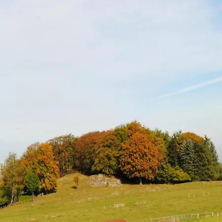 Stilvolle In Mit Eigener Terrasse Madfeld