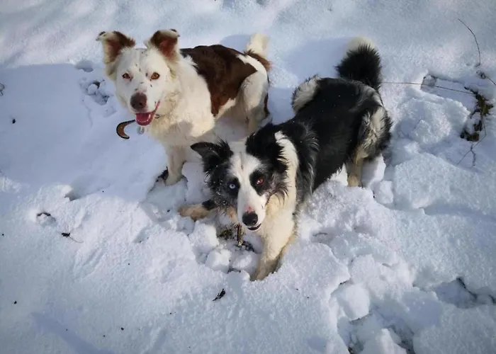 Stilvolle In Mit Eigener Terrasse * Madfeld