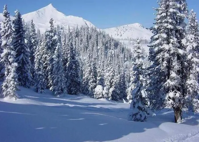 Stilvolle In Mit Eigener Terrasse Daire