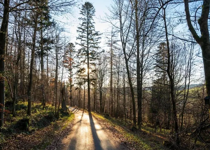 Stilvolle In Mit Eigener Terrasse Daire Madfeld