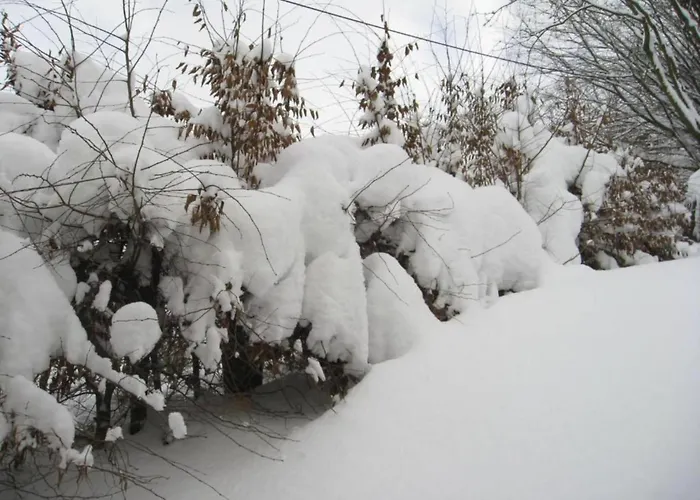 Stilvolle In Mit Eigener Terrasse Daire Madfeld