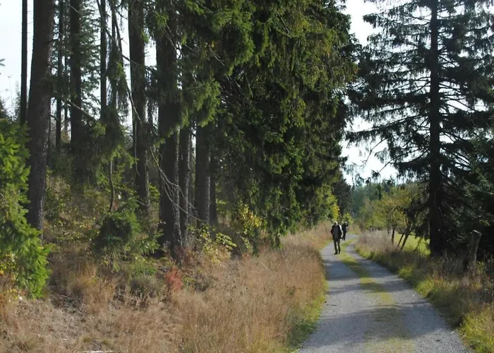 Daire Stilvolle In Mit Eigener Terrasse Madfeld