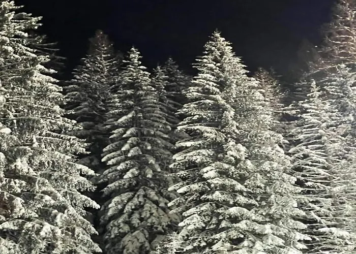 Stilvolle In Mit Eigener Terrasse * Madfeld